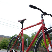 The Raptor 2014 / 2015 Model SMALL