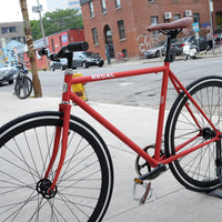 The Raptor 2014 / 2015 Model SMALL