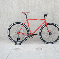 The Raptor 2014 / 2015 Model SMALL