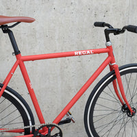 The Raptor 2014 / 2015 Model SMALL