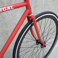 The Raptor 2014 / 2015 Model SMALL