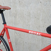 The Raptor 2014 / 2015 Model SMALL