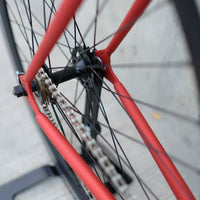 The Raptor 2014 / 2015 Model SMALL