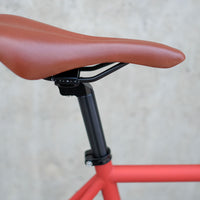 The Raptor 2014 / 2015 Model SMALL