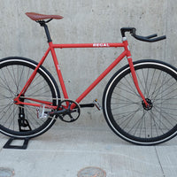 The Raptor 2014 / 2015 Model SMALL