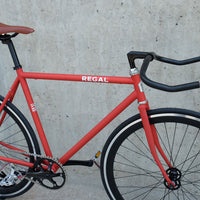 The Raptor 2014 / 2015 Model SMALL