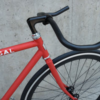 The Raptor 2014 / 2015 Model SMALL