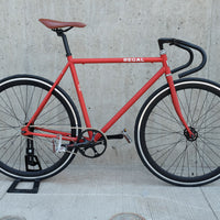 The Raptor 2014 / 2015 Model SMALL