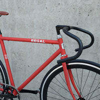 The Raptor 2014 / 2015 Model SMALL