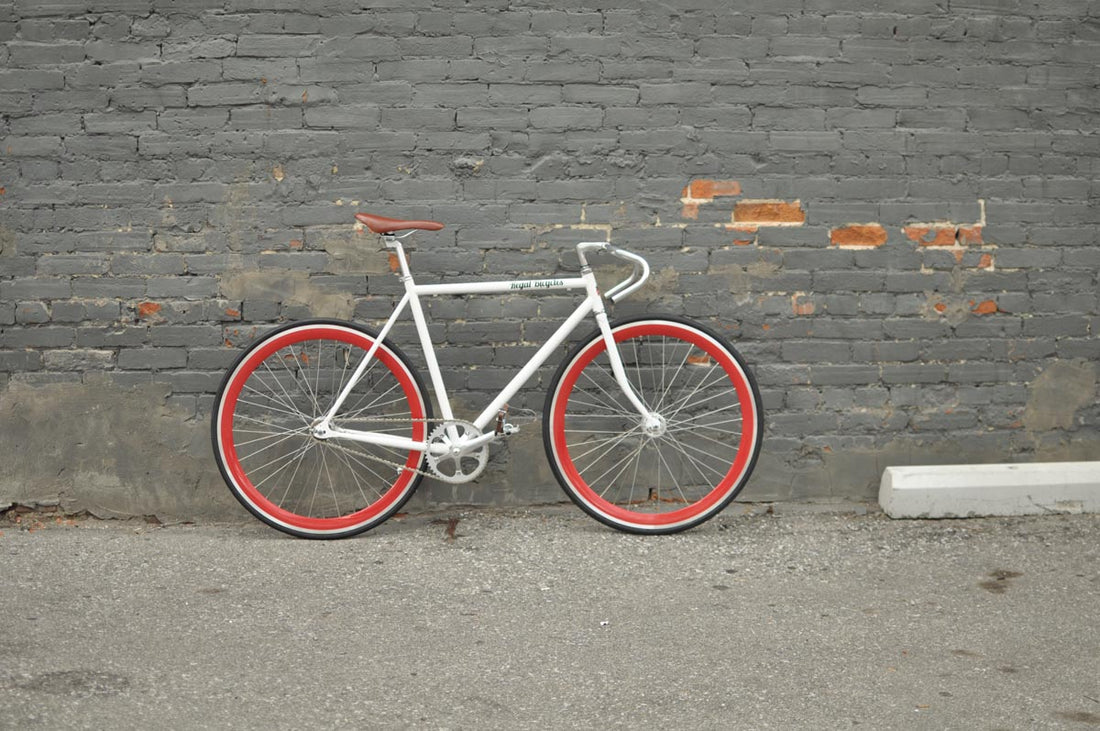 The Snowbird 2014 /2015 Model SMALL