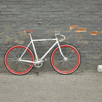 The Snowbird 2014 /2015 Model SMALL