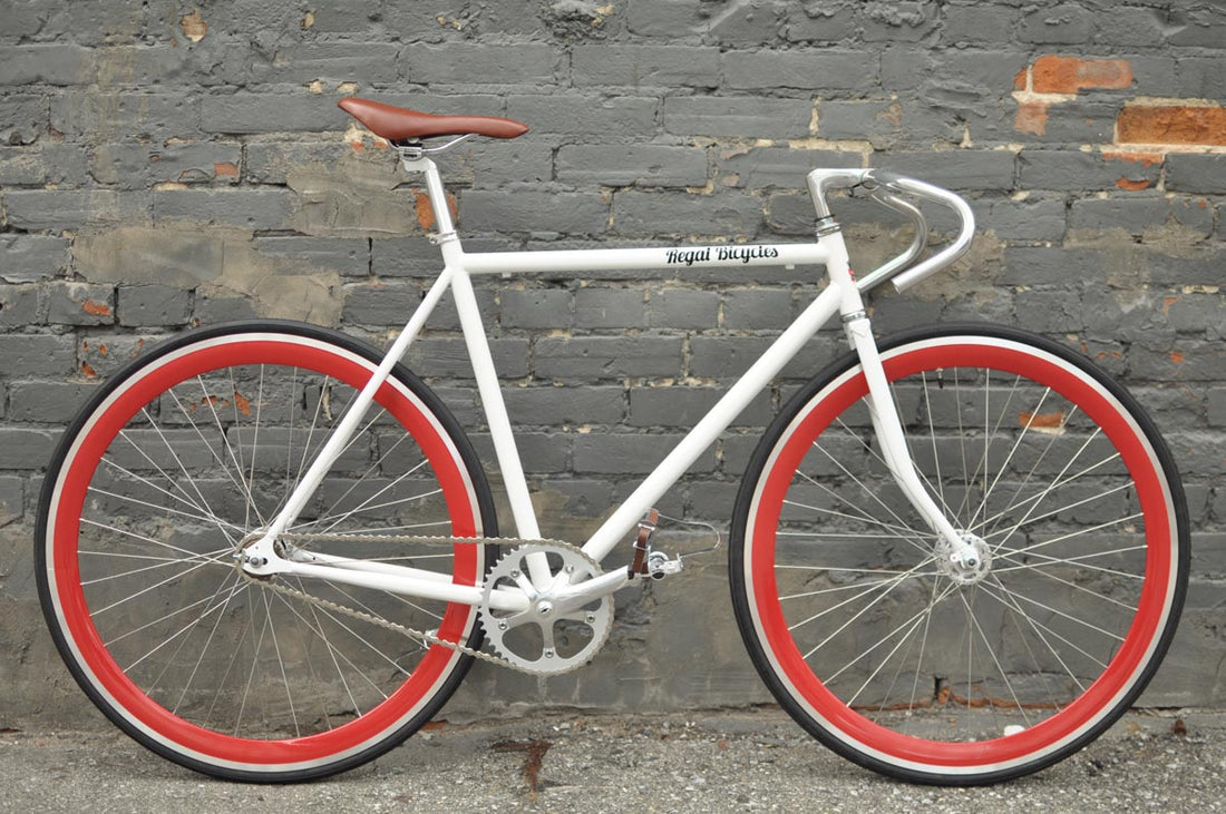 The Snowbird 2014 /2015 Model SMALL