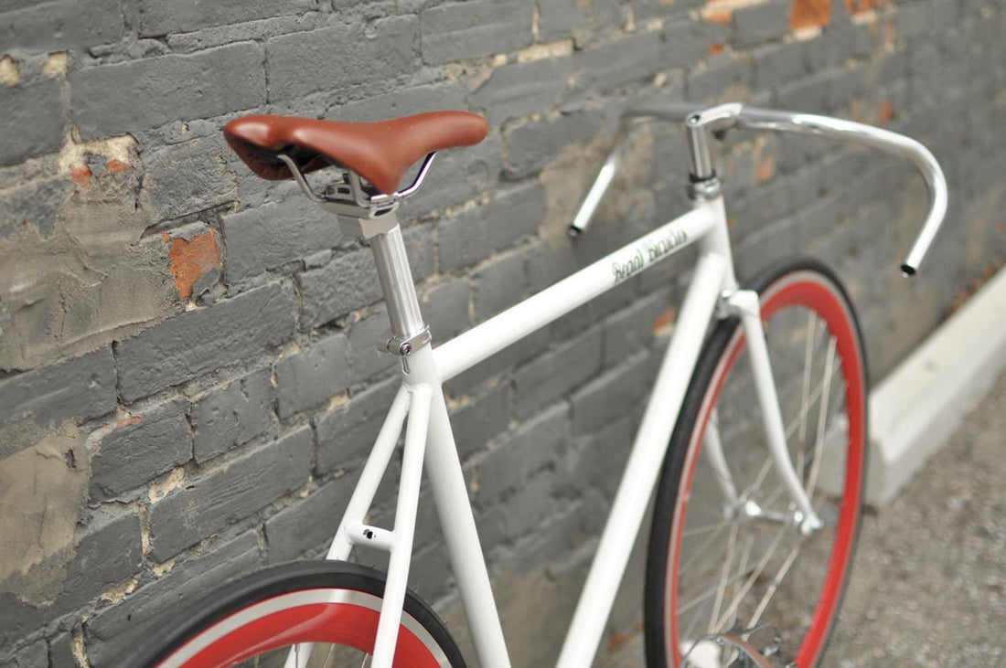 The Snowbird 2014 /2015 Model SMALL