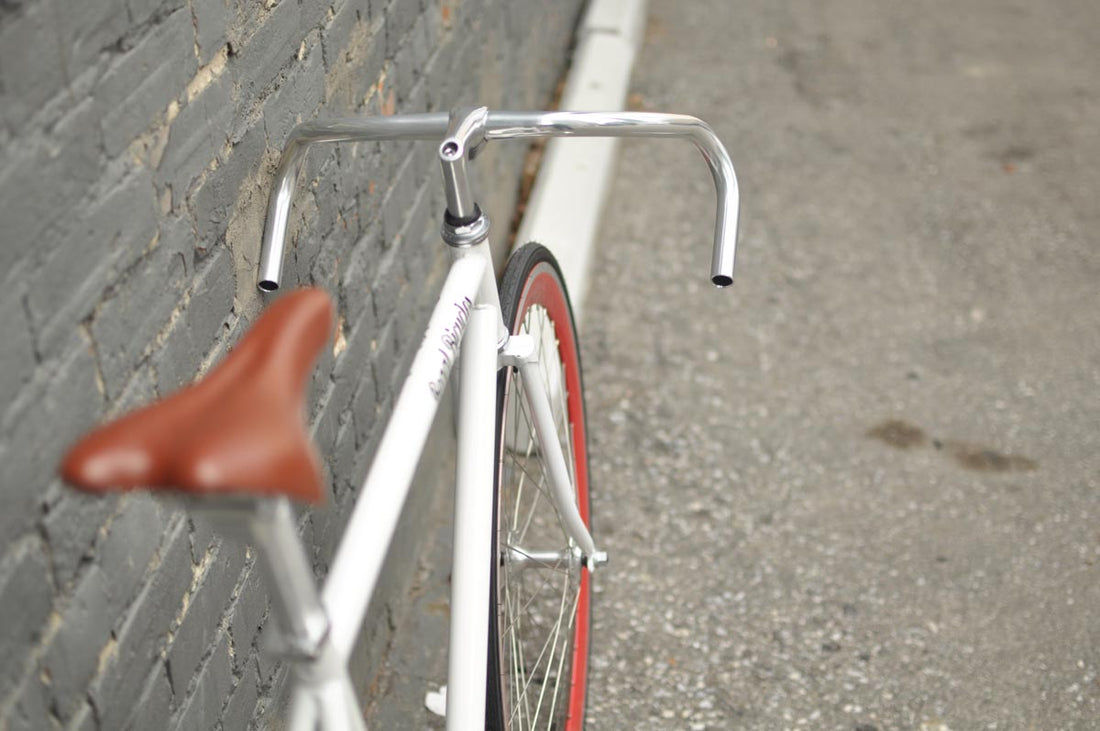 The Snowbird 2014 /2015 Model SMALL