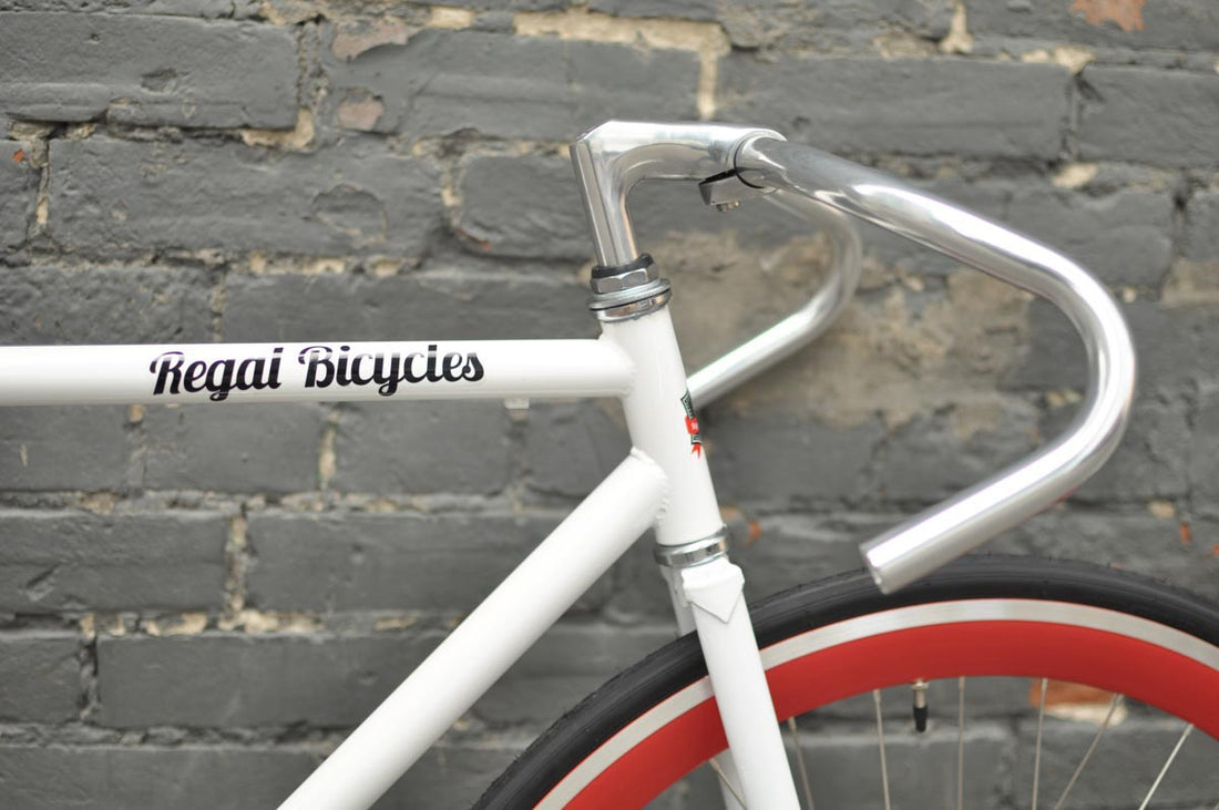 The Snowbird 2014 /2015 Model SMALL