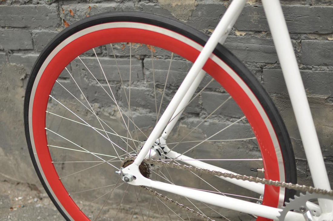 The Snowbird 2014 /2015 Model SMALL