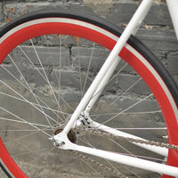 The Snowbird 2014 /2015 Model SMALL