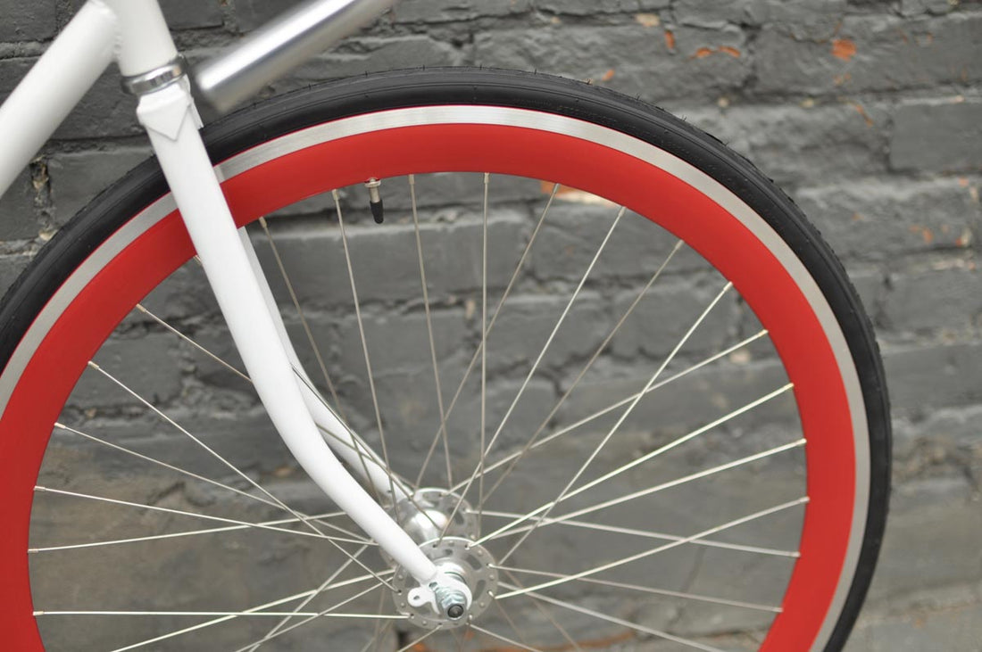 The Snowbird 2014 /2015 Model SMALL