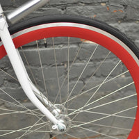 The Snowbird 2014 /2015 Model SMALL