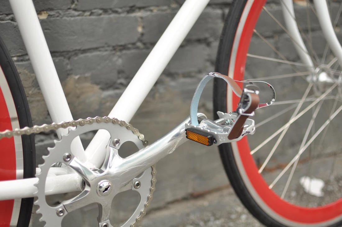 The Snowbird 2014 /2015 Model SMALL