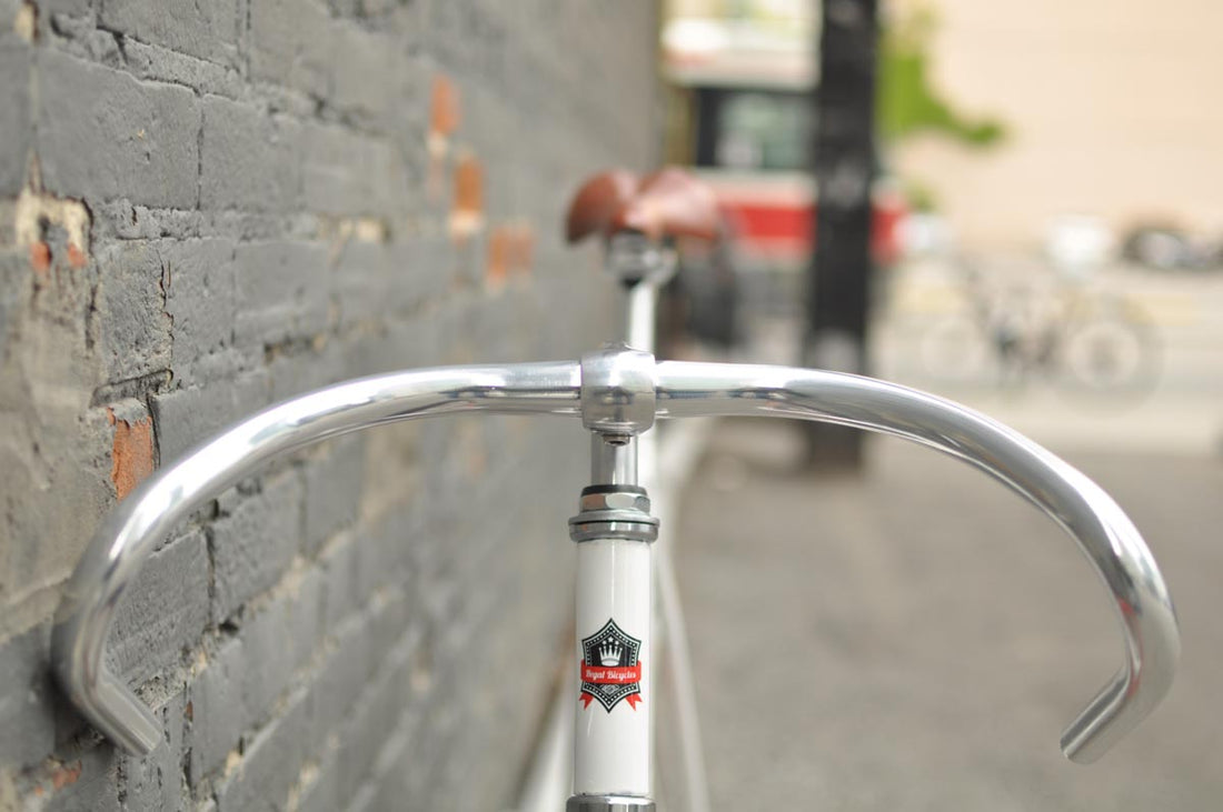 The Snowbird 2014 /2015 Model SMALL