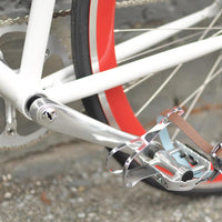 The Snowbird 2014 /2015 Model SMALL