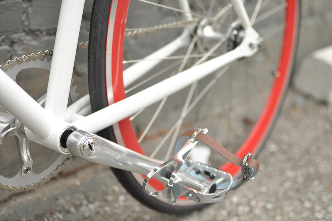 The Snowbird 2014 /2015 Model SMALL