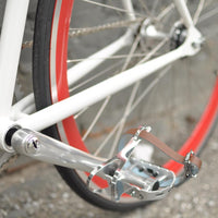 The Snowbird 2014 /2015 Model SMALL