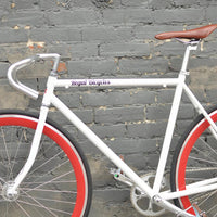 The Snowbird 2014 /2015 Model SMALL