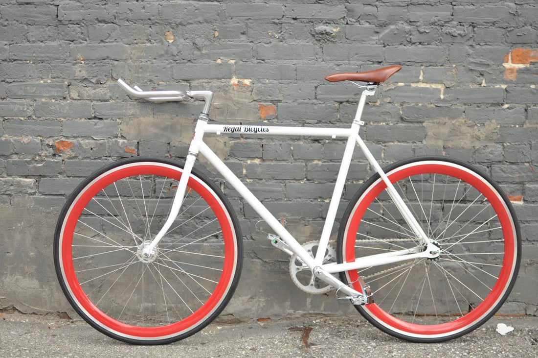 The Snowbird 2014 /2015 Model SMALL