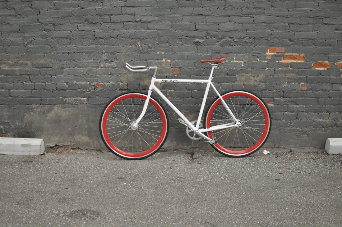 The Snowbird 2014 /2015 Model SMALL