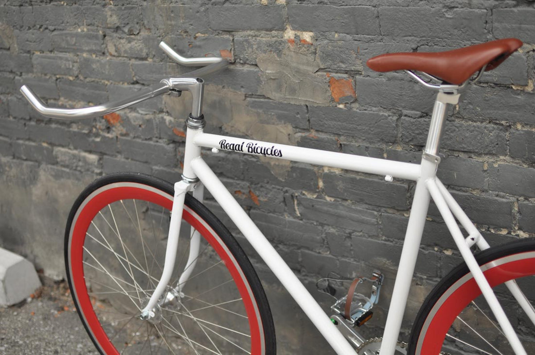 The Snowbird 2014 /2015 Model SMALL