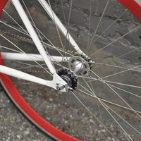 The Snowbird 2014 /2015 Model SMALL