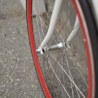 The Snowbird 2014 /2015 Model SMALL