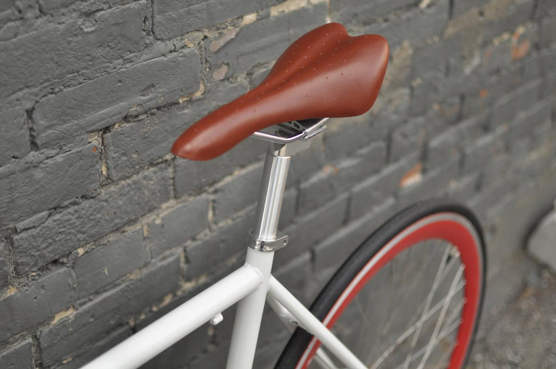 The Snowbird 2014 /2015 Model SMALL