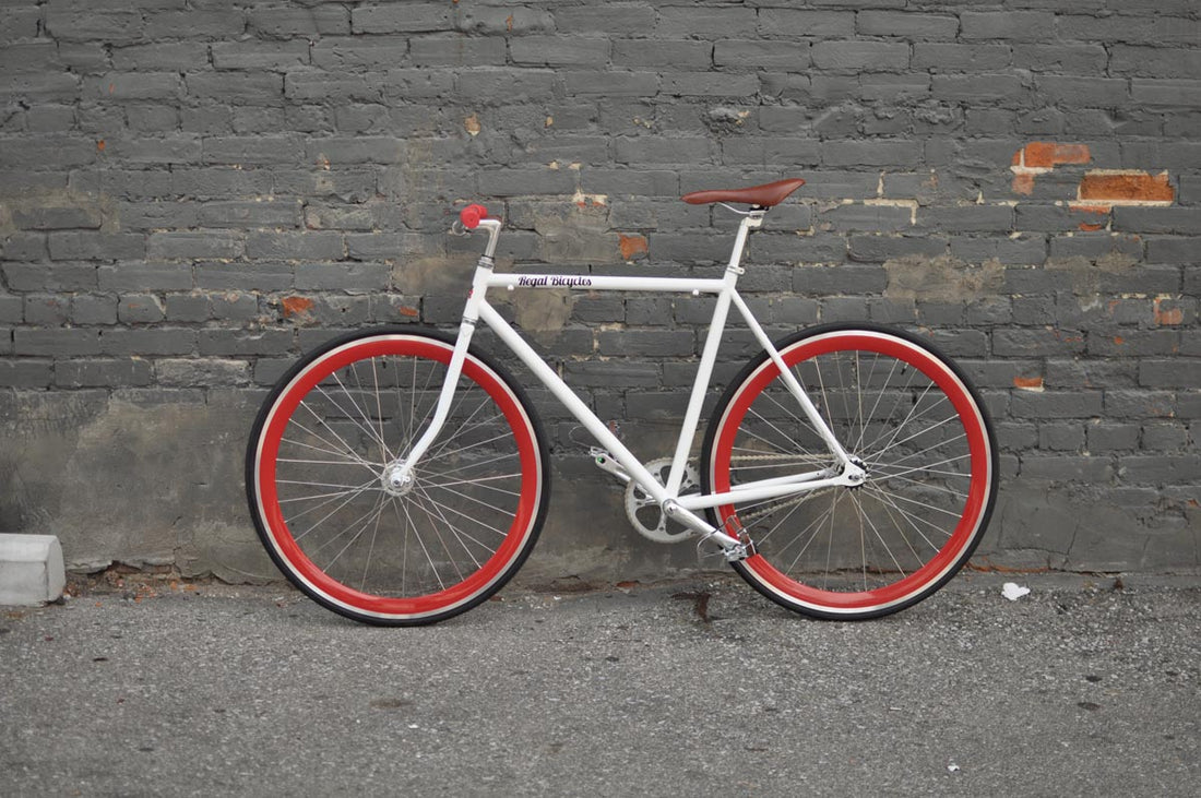 The Snowbird 2014 /2015 Model SMALL