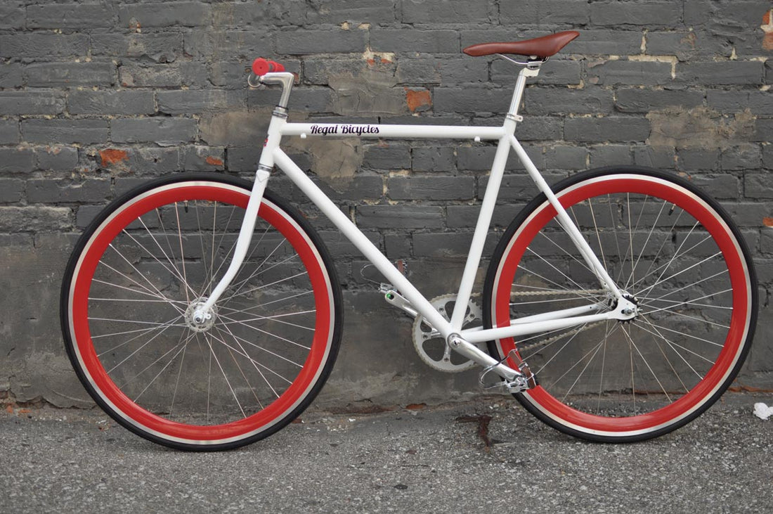 The Snowbird 2014 /2015 Model SMALL