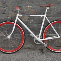 The Snowbird 2014 /2015 Model SMALL