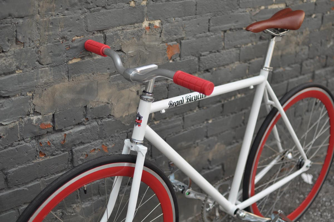 The Snowbird 2014 /2015 Model SMALL