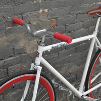 The Snowbird 2014 /2015 Model SMALL