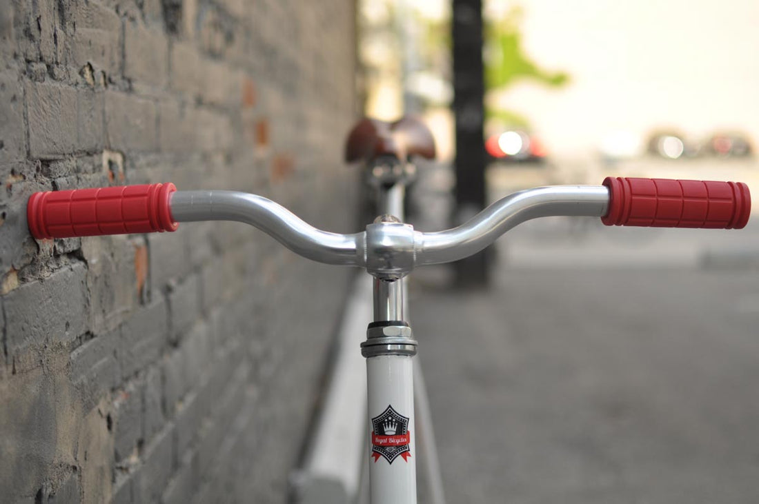 The Snowbird 2014 /2015 Model SMALL