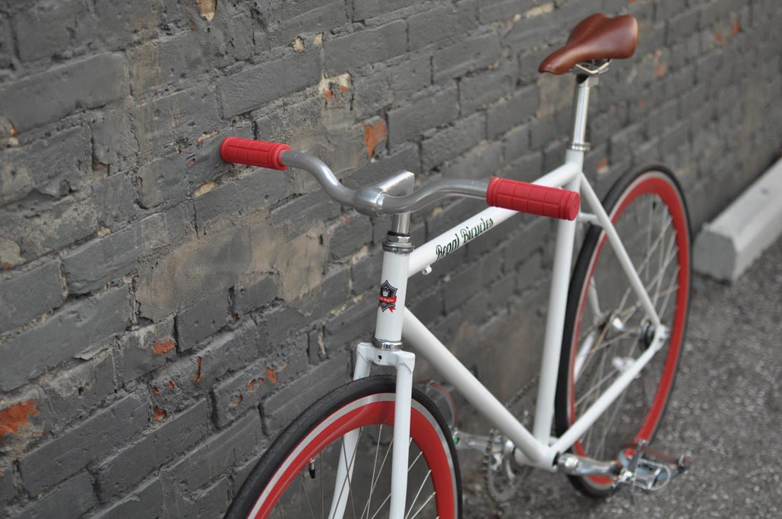 The Snowbird 2014 /2015 Model SMALL