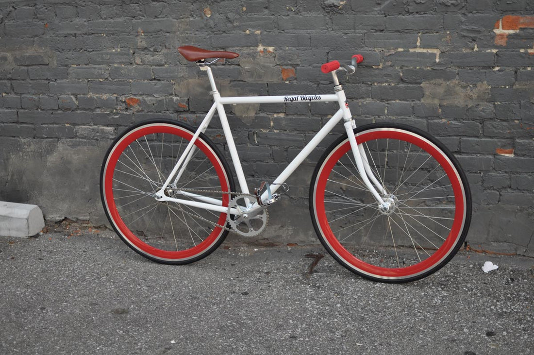 The Snowbird 2014 /2015 Model SMALL