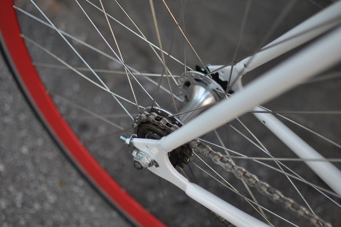 The Snowbird 2014 /2015 Model SMALL