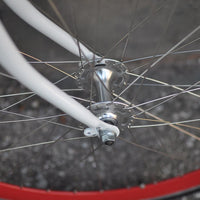 The Snowbird 2014 /2015 Model SMALL