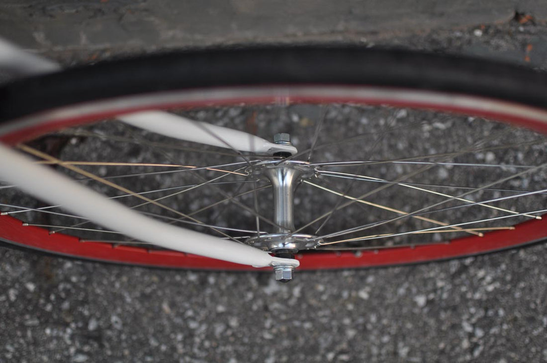 The Snowbird 2014 /2015 Model SMALL