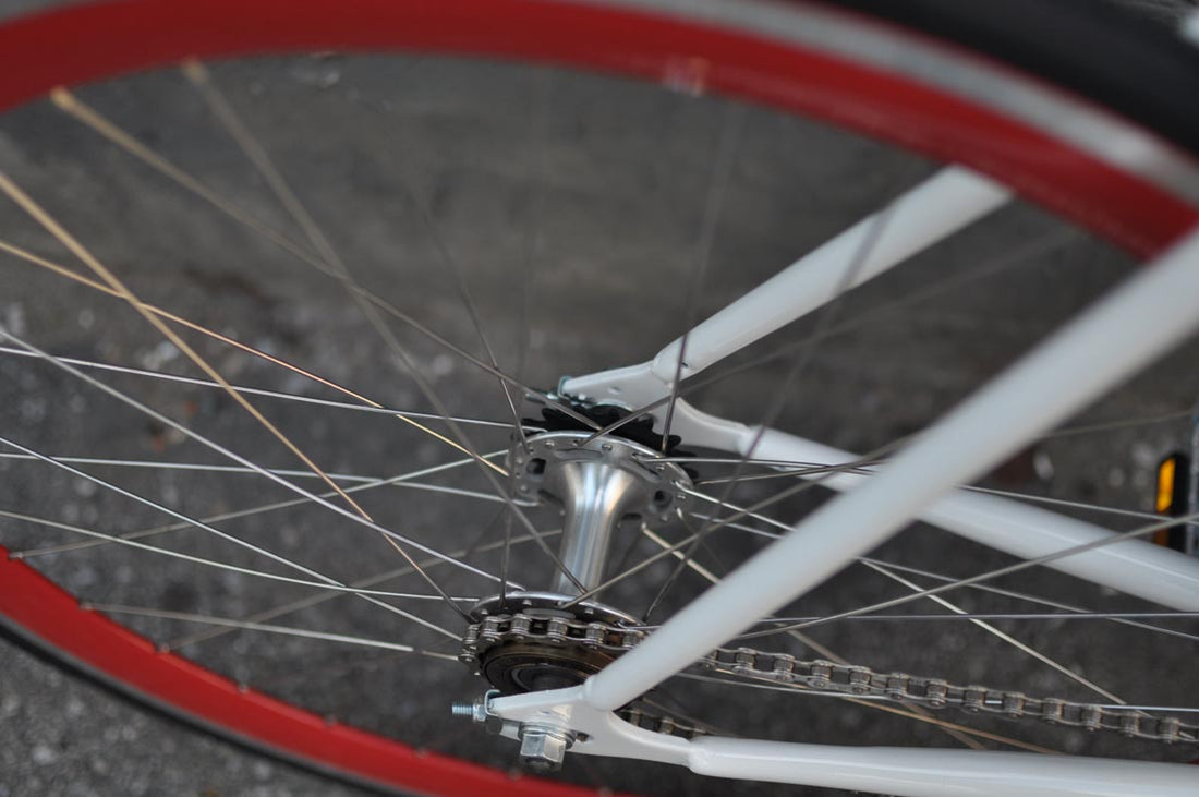 The Snowbird 2014 /2015 Model SMALL