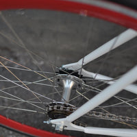 The Snowbird 2014 /2015 Model SMALL