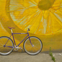 The Fixie Formerly Known as "The Prince"