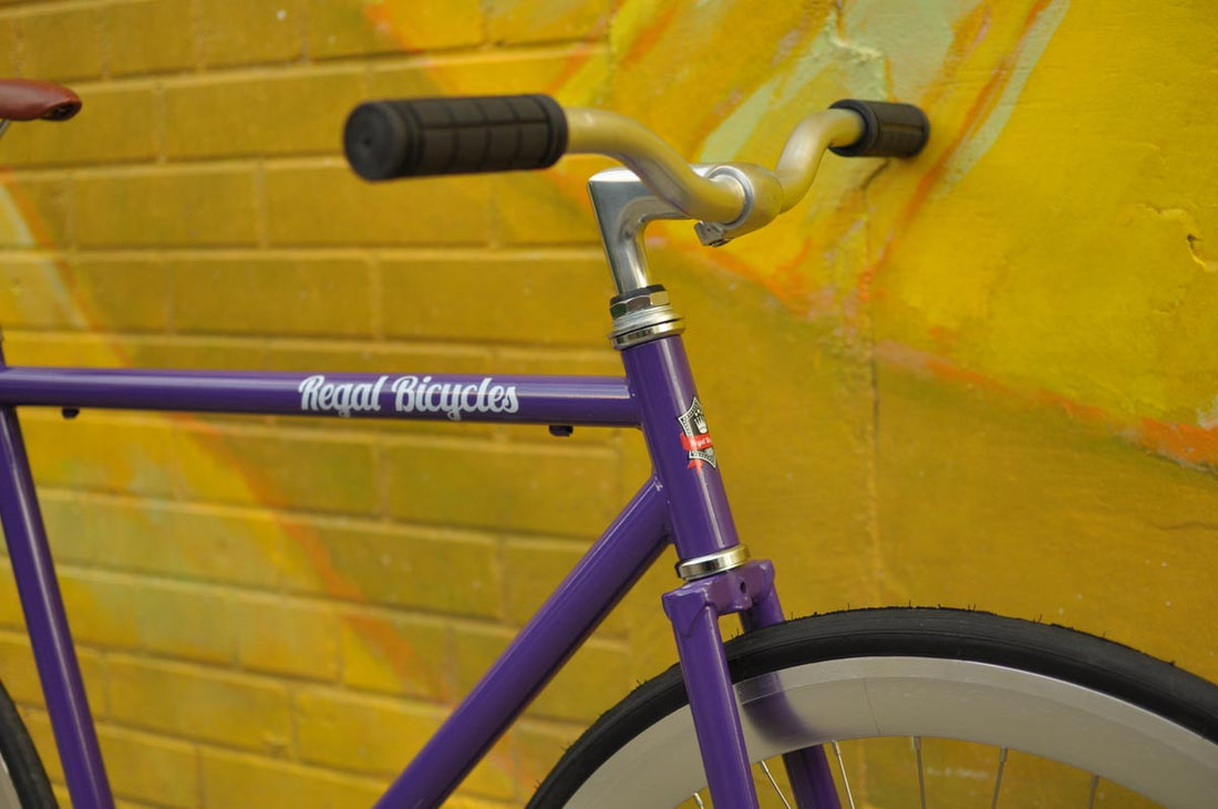 The Fixie Formerly Known as "The Prince"